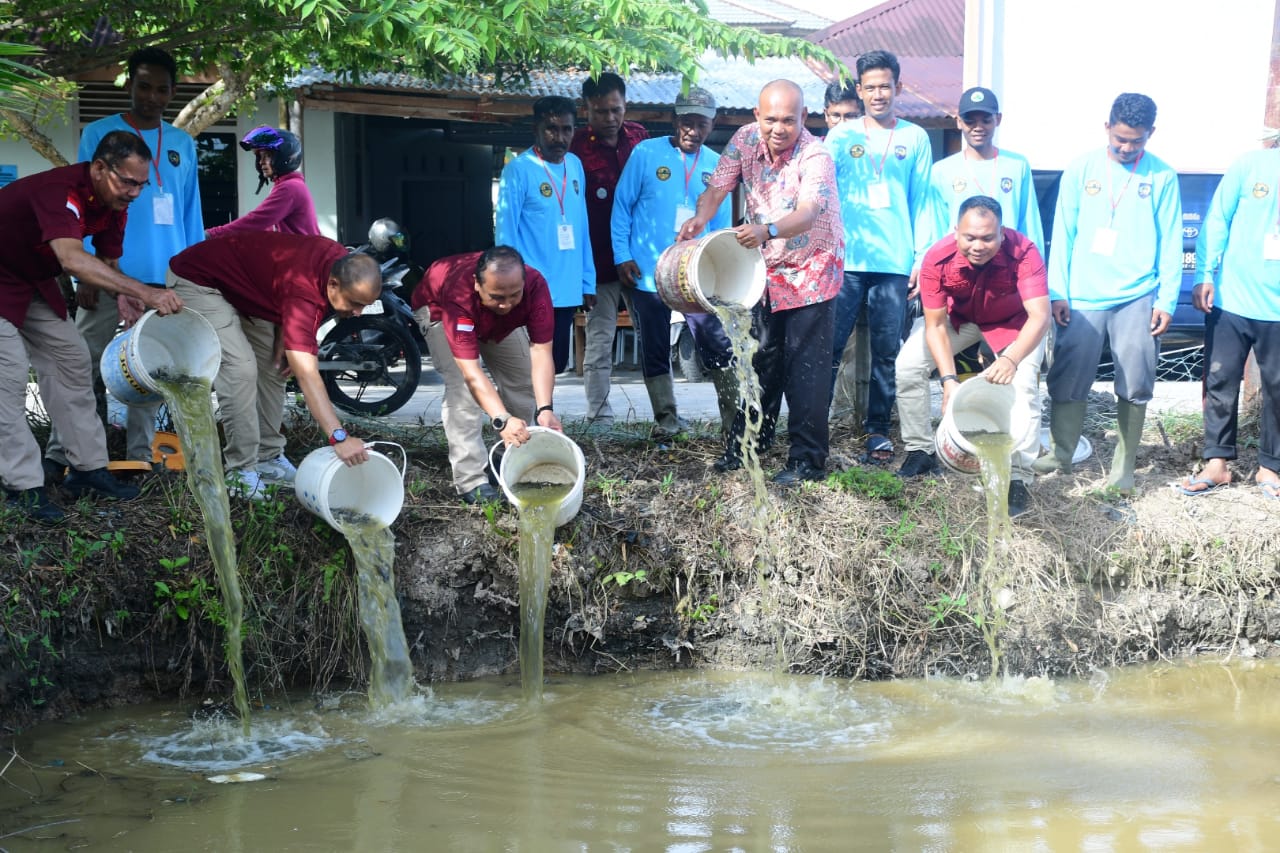 Pelatihan Budidaya Ikan Air Tawar untuk Pemula
